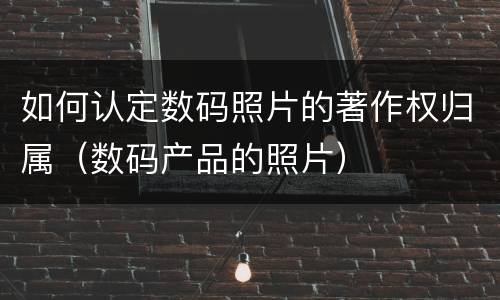 如何认定数码照片的著作权归属（数码产品的照片）