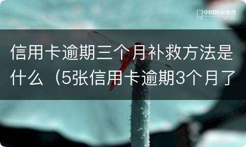 信用卡逾期三个月补救方法是什么（5张信用卡逾期3个月了怎么办）