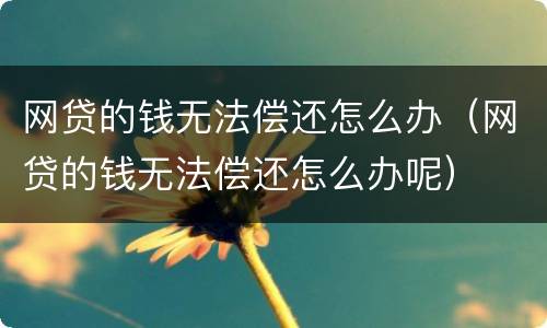 网贷的钱无法偿还怎么办（网贷的钱无法偿还怎么办呢）