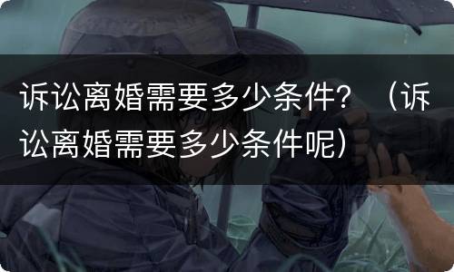诉讼离婚需要多少条件？（诉讼离婚需要多少条件呢）