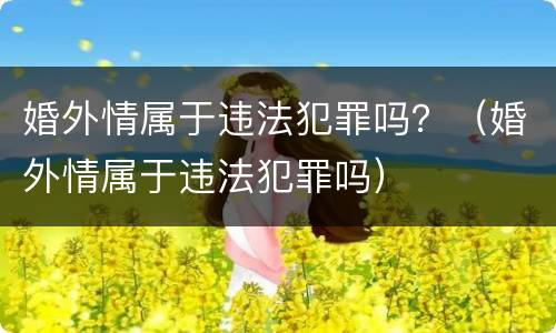 婚外情属于违法犯罪吗？（婚外情属于违法犯罪吗）