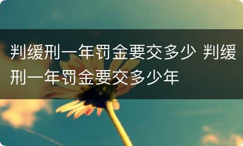 判缓刑一年罚金要交多少 判缓刑一年罚金要交多少年
