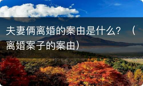 夫妻俩离婚的案由是什么？（离婚案子的案由）