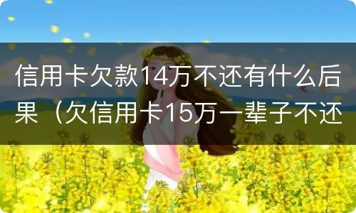 信用卡欠款14万不还有什么后果（欠信用卡15万一辈子不还）
