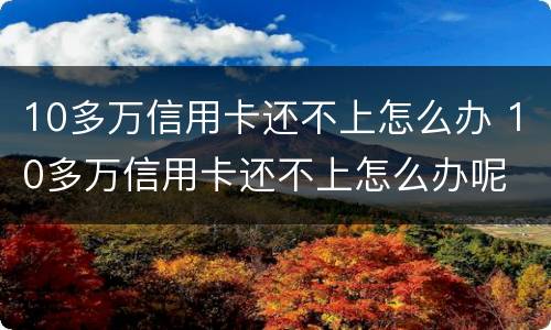 10多万信用卡还不上怎么办 10多万信用卡还不上怎么办呢