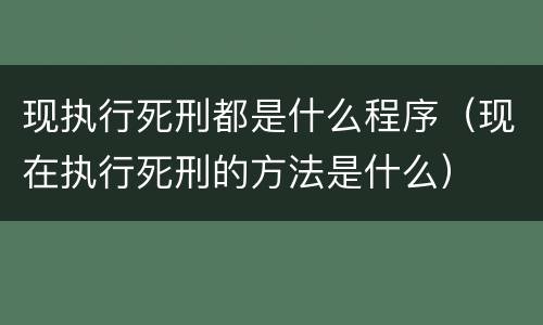 现执行死刑都是什么程序（现在执行死刑的方法是什么）
