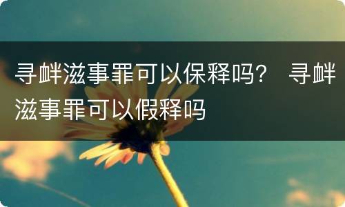 寻衅滋事罪可以保释吗？ 寻衅滋事罪可以假释吗