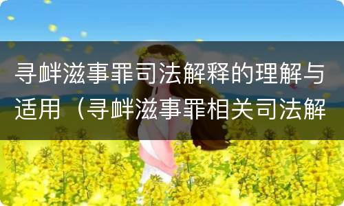 寻衅滋事罪司法解释的理解与适用（寻衅滋事罪相关司法解释）