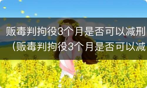 贩毒判拘役3个月是否可以减刑（贩毒判拘役3个月是否可以减刑呢）