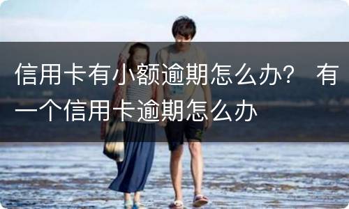 信用卡有小额逾期怎么办？ 有一个信用卡逾期怎么办