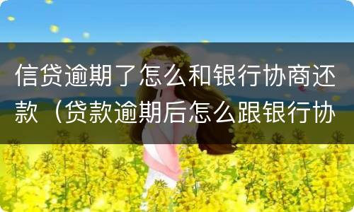 信贷逾期了怎么和银行协商还款（贷款逾期后怎么跟银行协商）