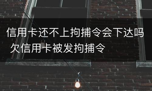 信用卡还不上拘捕令会下达吗 欠信用卡被发拘捕令