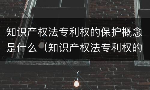 知识产权法专利权的保护概念是什么（知识产权法专利权的保护概念是什么时候提出）