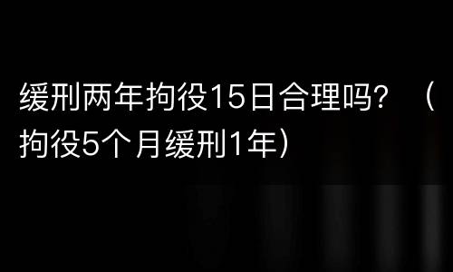 缓刑两年拘役15日合理吗？（拘役5个月缓刑1年）