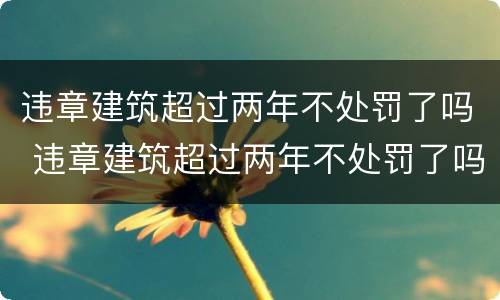 违章建筑超过两年不处罚了吗 违章建筑超过两年不处罚了吗怎么办