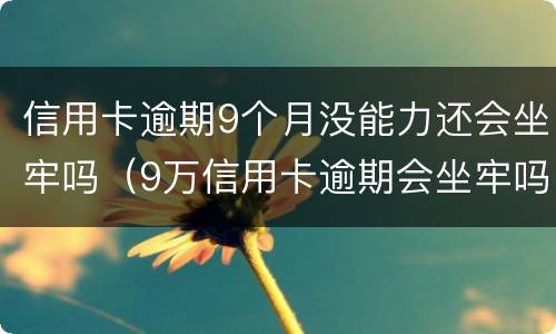 信用卡逾期9个月没能力还会坐牢吗（9万信用卡逾期会坐牢吗）