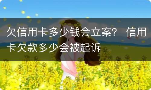 欠信用卡多少钱会立案？ 信用卡欠款多少会被起诉