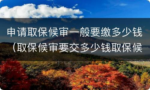 申请取保候审一般要缴多少钱（取保候审要交多少钱取保候审）
