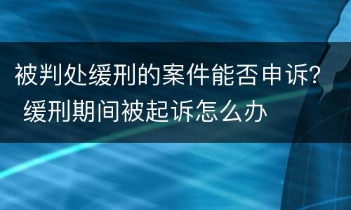 被判处缓刑的案件能否申诉？ 缓刑期间被起诉怎么办