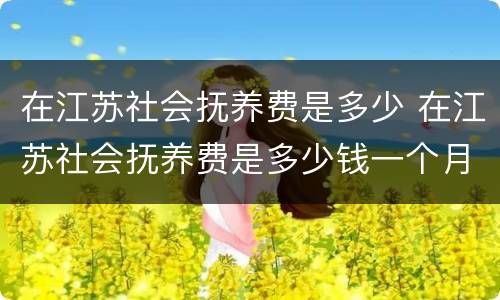 在江苏社会抚养费是多少 在江苏社会抚养费是多少钱一个月