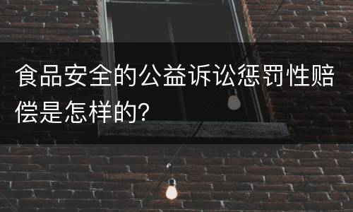 食品安全的公益诉讼惩罚性赔偿是怎样的？