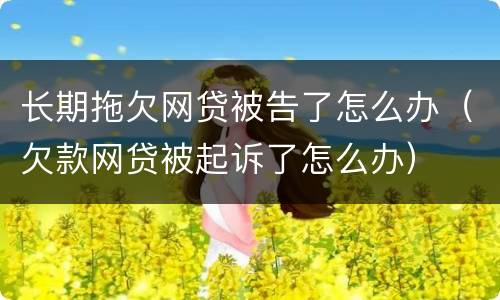 长期拖欠网贷被告了怎么办（欠款网贷被起诉了怎么办）