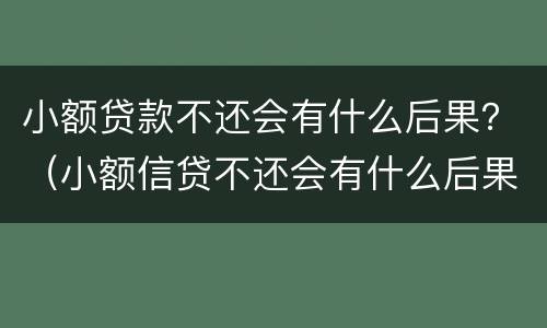 小额贷款不还会有什么后果？（小额信贷不还会有什么后果）