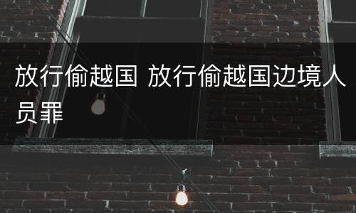 放行偷越国 放行偷越国边境人员罪