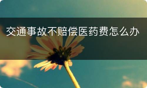 交通事故不赔偿医药费怎么办