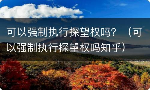 可以强制执行探望权吗？（可以强制执行探望权吗知乎）