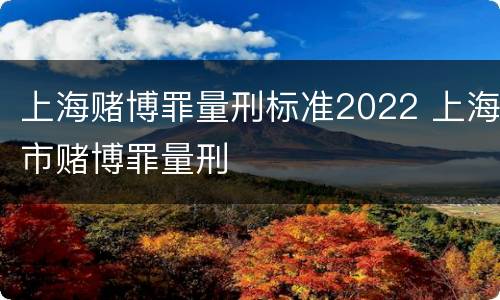 上海赌博罪量刑标准2022 上海市赌博罪量刑