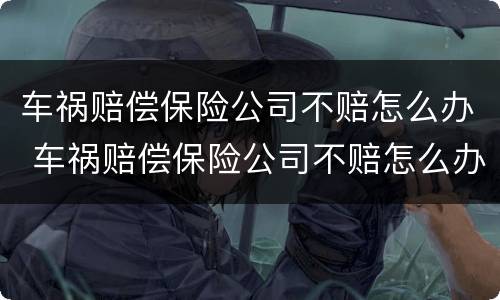 车祸赔偿保险公司不赔怎么办 车祸赔偿保险公司不赔怎么办理