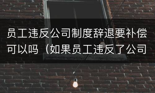 员工违反公司制度辞退要补偿可以吗（如果员工违反了公司的制度,怎么处理）