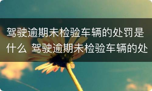 驾驶逾期未检验车辆的处罚是什么 驾驶逾期未检验车辆的处罚是什么意思