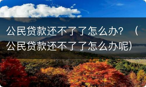 公民贷款还不了了怎么办？（公民贷款还不了了怎么办呢）