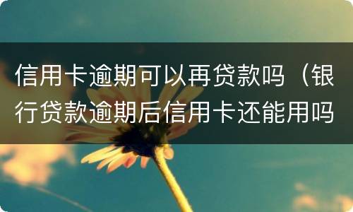 信用卡逾期可以再贷款吗（银行贷款逾期后信用卡还能用吗）