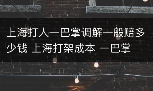 上海打人一巴掌调解一般赔多少钱 上海打架成本 一巴掌