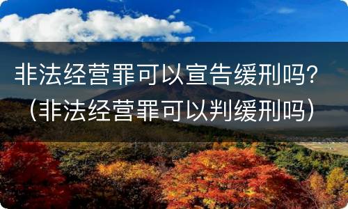 非法经营罪可以宣告缓刑吗？（非法经营罪可以判缓刑吗）