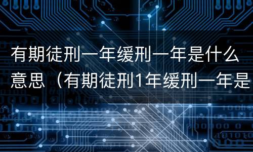 有期徒刑一年缓刑一年是什么意思（有期徒刑1年缓刑一年是什么意思）