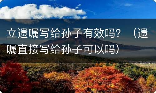 立遗嘱写给孙子有效吗？（遗嘱直接写给孙子可以吗）