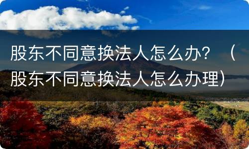 股东不同意换法人怎么办？（股东不同意换法人怎么办理）