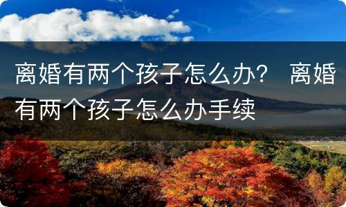 离婚有两个孩子怎么办？ 离婚有两个孩子怎么办手续