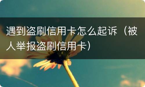 遇到盗刷信用卡怎么起诉（被人举报盗刷信用卡）
