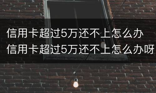 信用卡超过5万还不上怎么办 信用卡超过5万还不上怎么办呀