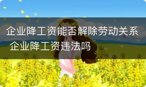 企业降工资能否解除劳动关系 企业降工资违法吗