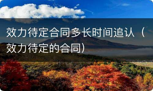效力待定合同多长时间追认（效力待定的合同）