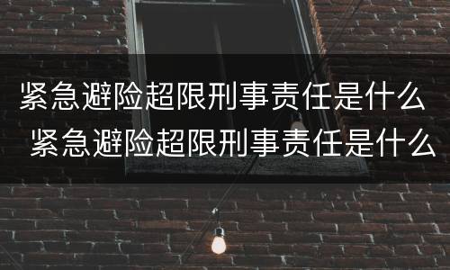紧急避险超限刑事责任是什么 紧急避险超限刑事责任是什么意思