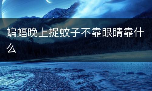 蝙蝠晚上捉蚊子不靠眼睛靠什么