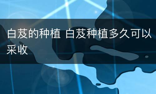 白芨的种植 白芨种植多久可以采收