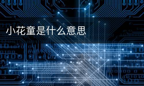 小花童是什么意思